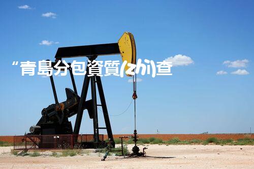 “青島分包資質(zhì)查詢，一步獲取多方信用評估結(jié)果”
